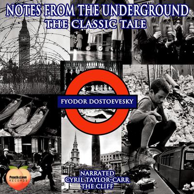 Notes From The Underground by Fyodor Dostoevesky audiobook