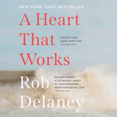 A Heart that Works by Rob Delaney audiobook
