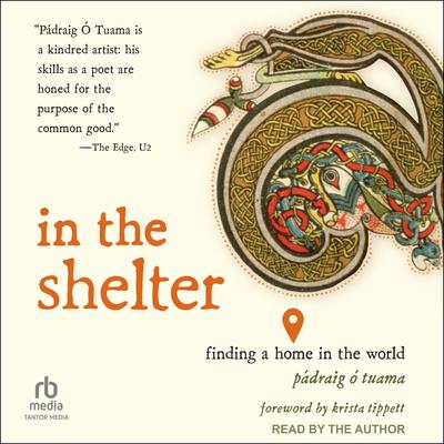 In the Shelter by Pádraig Ó Tuama audiobook
