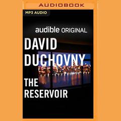 The Reservoir by David Duchovny audiobook