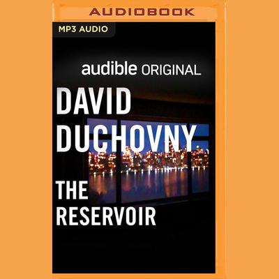 The Reservoir by David Duchovny audiobook