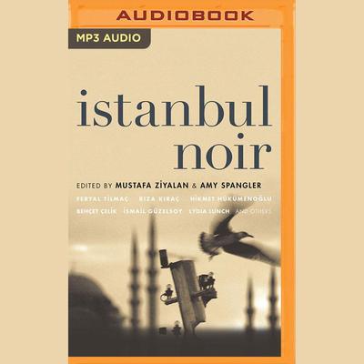 Istanbul Noir by  audiobook