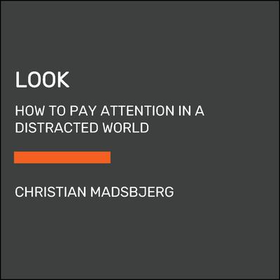 Look by Christian Madsbjerg audiobook