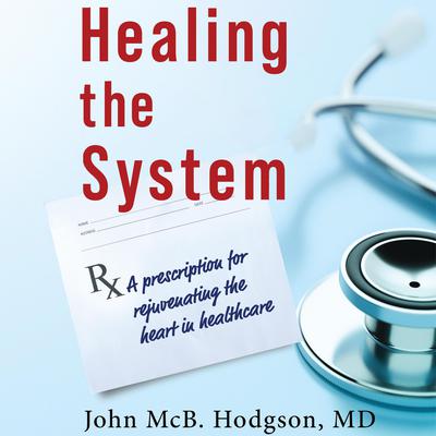 Healing the System by John McBarron Hodgson audiobook