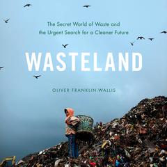 Wasteland by Oliver Franklin-Wallis audiobook