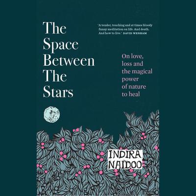 The Space Between the Stars by Indira Naidoo audiobook