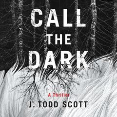 Call the Dark by J. Todd Scott audiobook