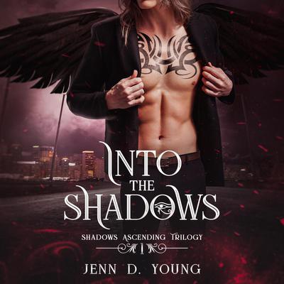 Into The Shadows by Jenn D. Young audiobook