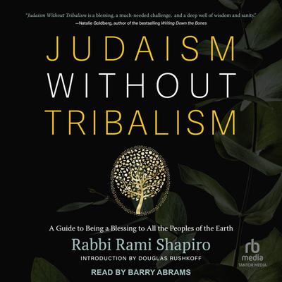 Judaism Without Tribalism by Rami Shapiro audiobook
