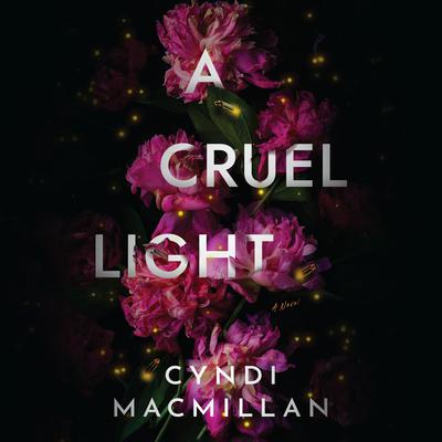 A Cruel Light by Cyndi MacMillan audiobook