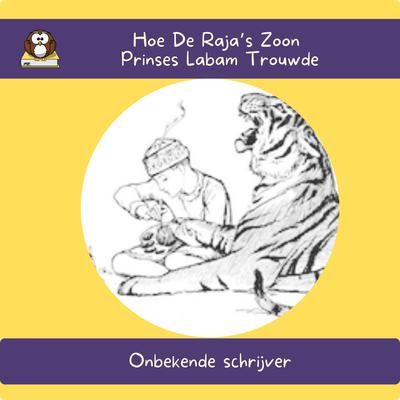 Hoe De Raja’s Zoon Prinses Labam Trouwde by Onbekende Schrijver audiobook