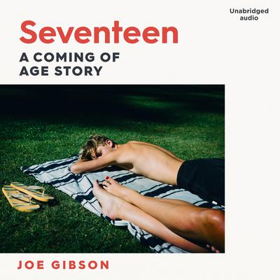 Seventeen by Joe Gibson audiobook