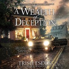 A Wealth of Deception by Trish Esden audiobook
