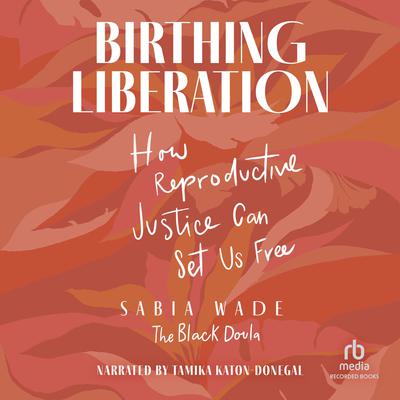 Birthing Liberation by Sabia Wade audiobook