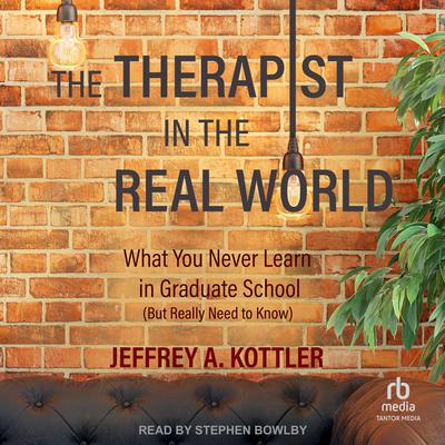 The Therapist in the Real World by Jeffrey A. Kottler audiobook