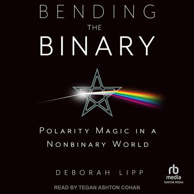 Bending the Binary by Deborah Lipp audiobook