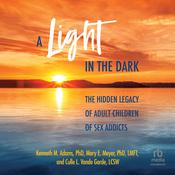 A Light in the Dark by  Kenneth M. Adams PhD audiobook