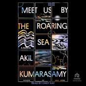 Meet Us by the Roaring Sea by  Akil Kumarasamy audiobook