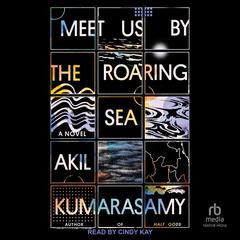 Meet Us by the Roaring Sea by Akil Kumarasamy audiobook