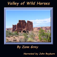 Valley of Wild Horses by Zane Grey audiobook