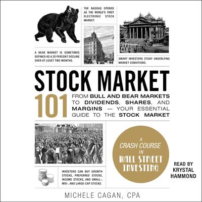 Stock Market 101 by Michele Cagan audiobook