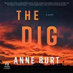 The Dig by Anne Burt audiobook
