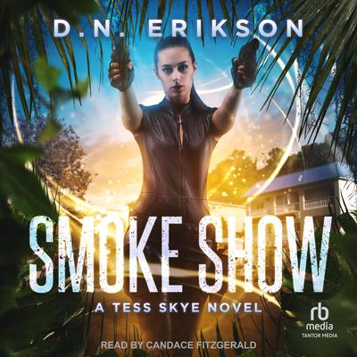 Smoke Show by D.N. Erikson audiobook
