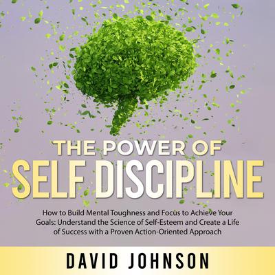 The Power of Self Discipline by David Johnson audiobook