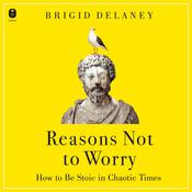 Reasons Not to Worry by  Brigid Delaney audiobook