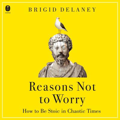 Reasons Not to Worry by Brigid Delaney audiobook