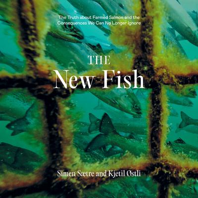 The New Fish by Simen Saetre audiobook