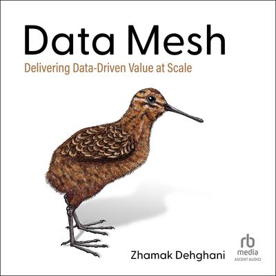 Data Mesh by Zhamak Dehghani audiobook