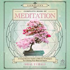 Llewellyn's Complete Book of Meditation by Shai Tubali audiobook
