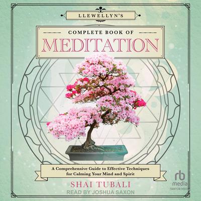 Llewellyn's Complete Book of Meditation by Shai Tubali audiobook