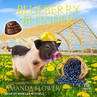 Blueberry Blunder by Amanda Flower audiobook