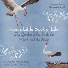 Rumi's Little Book of Life by Rumi audiobook