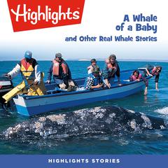 A Whale of a Baby and Other Real Whale Stories by Highlights for Children audiobook