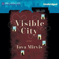 Visible City by Tova Mirvis audiobook