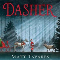 Dasher by Matt Tavares audiobook