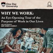 Why We Work by  Barry Schwartz audiobook