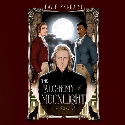 The Alchemy of Moonlight by David Ferraro audiobook
