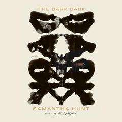 The Dark Dark by Samantha Hunt audiobook