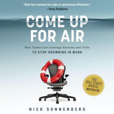 Come Up for Air by Nick Sonnenberg audiobook