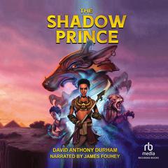 The Shadow Prince by David Anthony Durham audiobook