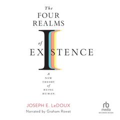 Four Realms of Existence by Joseph LeDoux audiobook