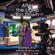 After the Lights Go Down by  Donna Hill audiobook