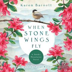 When Stone Wings Fly by Karen Barnett audiobook