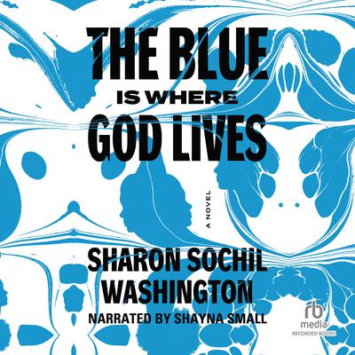 The Blue Is Where God Lives by Sharon Sochil Washington audiobook