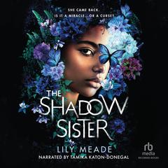 The Shadow Sister by Lily Meade audiobook