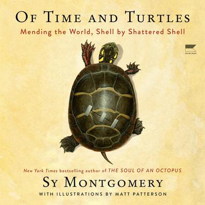 Of Time and Turtles by Sy Montgomery audiobook